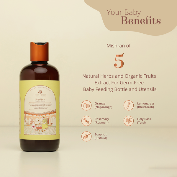 Baby Forest Mridul Patra Ayurvedic Baby Dish Cleanser