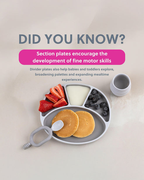 Bibado Silicone Suction Divider Plate – Mist | Baby Weaning Plate