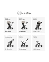 QPlay Nova Niello Foldable Trike 10-72 Months Grey