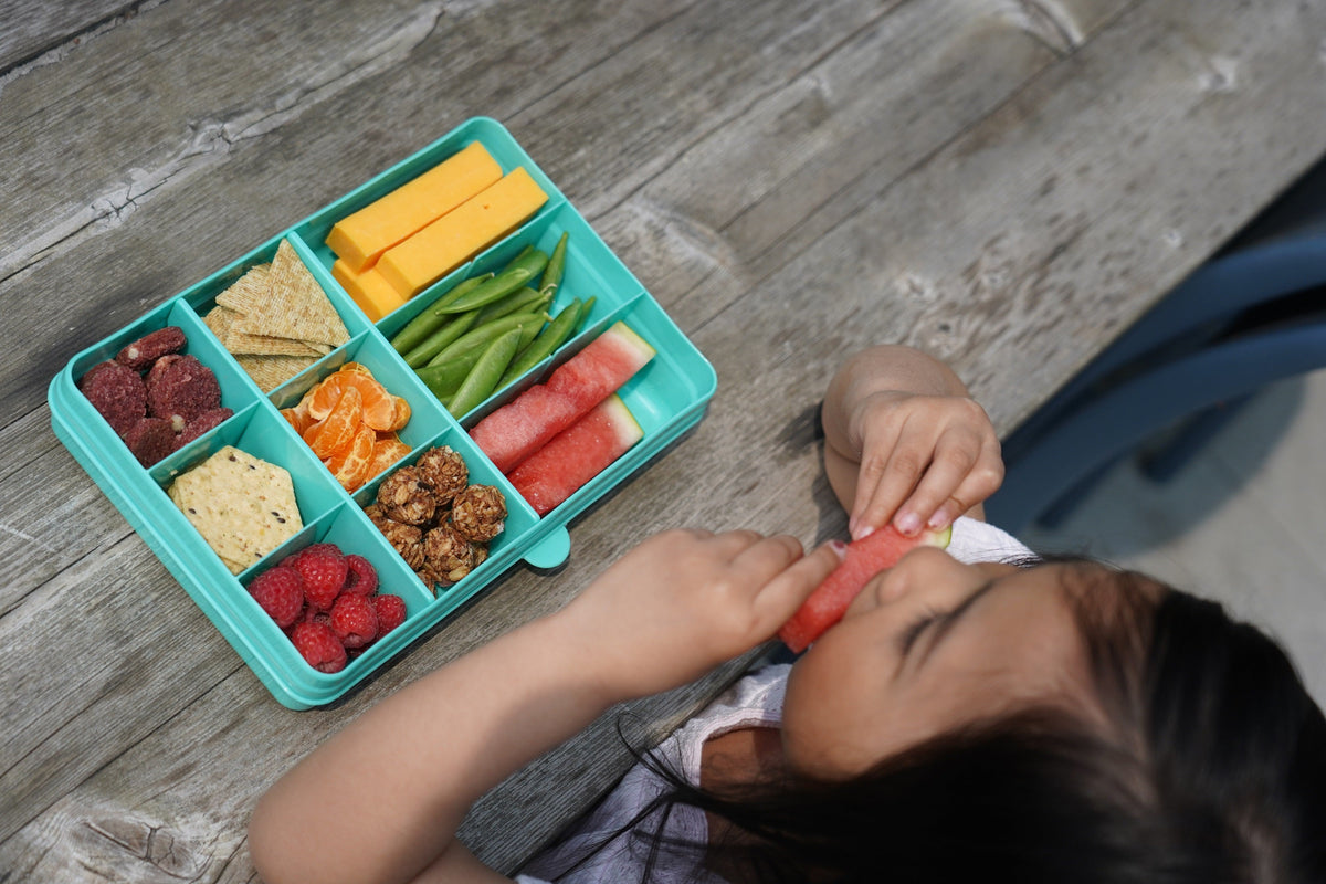 Melii Snackle Box Regular 12 Compartment 48oz – Blue