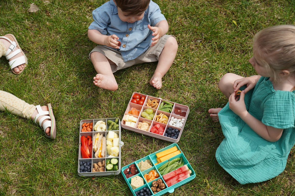 Melii Snackle Box Regular 12 Compartment 1,368ml – Grey