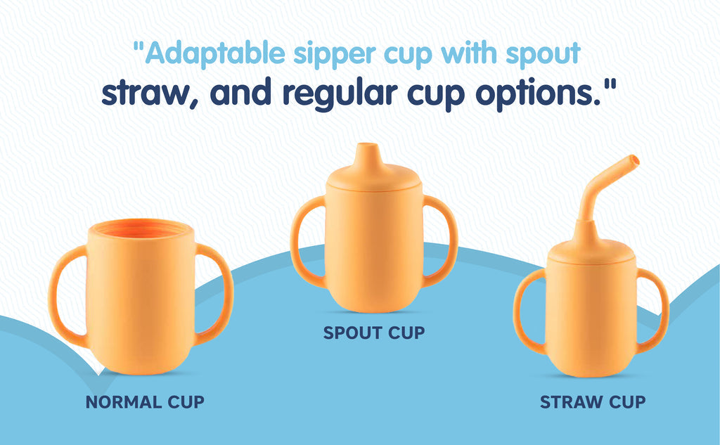 Hopop 3-in-1 Sipper Cup with Spout & Straw 210 ml Grey