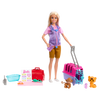 Barbie Doll and Accessories