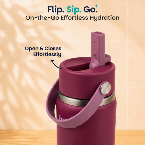 Basil HydraFizz Insulated Sipper Bottle 800ml 12Y+ โ Classic Plum