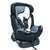 R For Rabbit Car Seat Jack N Jill Grand Black Multi