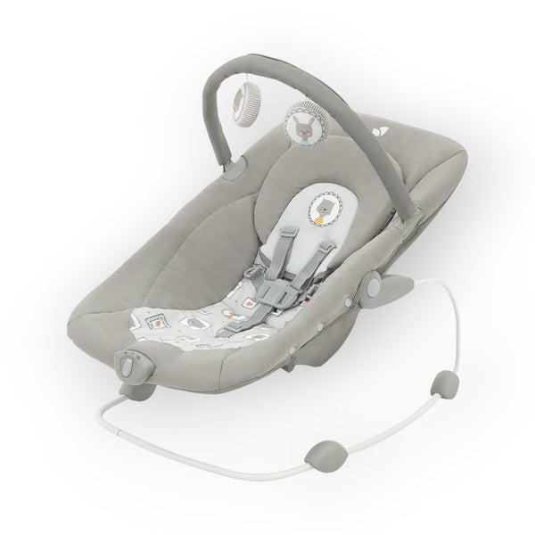 Joie Dreamer™ Compact Rocker & Bouncer – Frankie & Friends