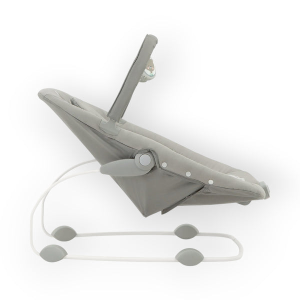 Joie Dreamer™ Compact Rocker & Bouncer – Frankie & Friends