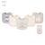 Duck Duck Goose Cvc Interlock Baby Bib, Pack Of 5, Baby Bear
