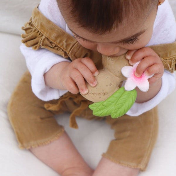 Oli & Carol Aly The Almond Natural Rubber Teether