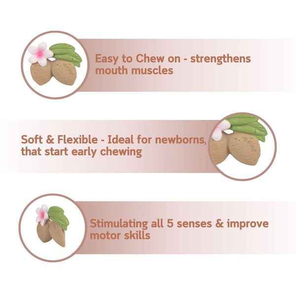 Oli & Carol Aly The Almond Natural Rubber Teether