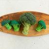 Oli & Carol Brucy The Broccoli Teether