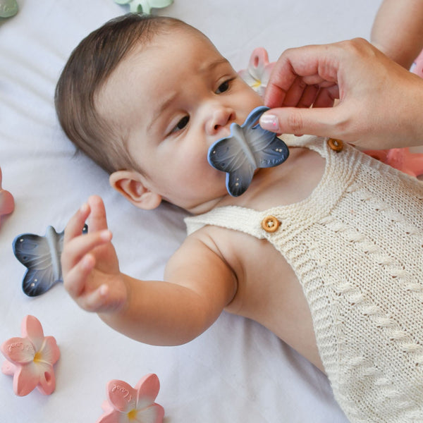 Oli & Carol Blues The Butterfly Chewy Teether