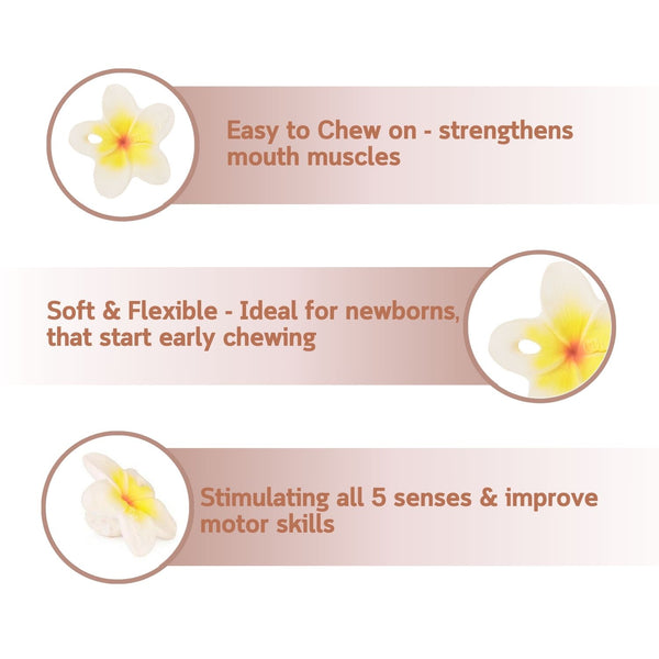 Oli & Carol Hawaii The Flower Chewy Teether
