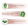 Oli & Carol Kendall The Kale Natural Rubber Teether