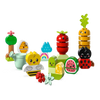 LEGO Duplo Organic Garden 1.5+ 43Pcs 10984