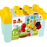 LEGO Duplo Organic Garden 1.5+ 43Pcs 10984