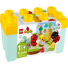 LEGO Duplo Organic Garden 1.5+ 43Pcs 10984