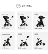 QPlay Nova Niello 6-in-1 Foldable Trike 10-72 Months Black