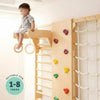 Curious Cub Wall Mounted Jungle Gym