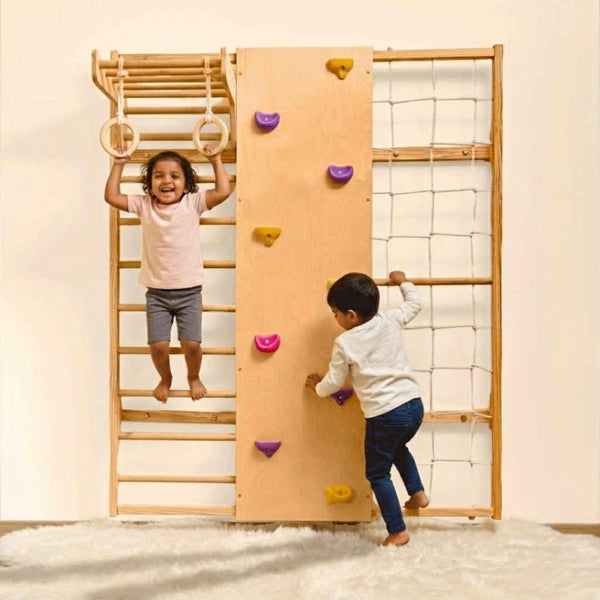 Curious Cub Wall Mounted Jungle Gym