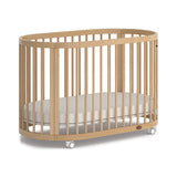 Boori Oasis Oval Cot – Beech | Convertible Baby Cot & Toddler Bed