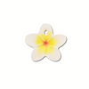 Oli & Carol Hawaii The Flower Chewy Teether