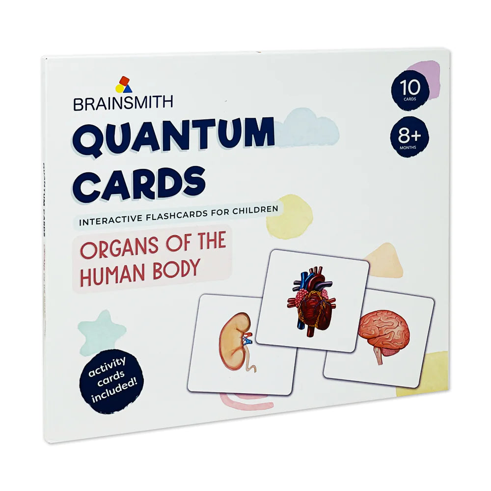 Brainsmith Organs of the Human Body Quantum Flash Cards Set of 10 Cards 25.8 × 22.1 cm Multicolor