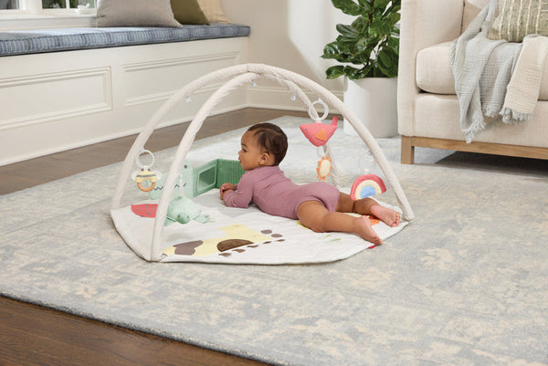 Skip Hop Geometric Wonders Baby Activity Gym – Multicolour