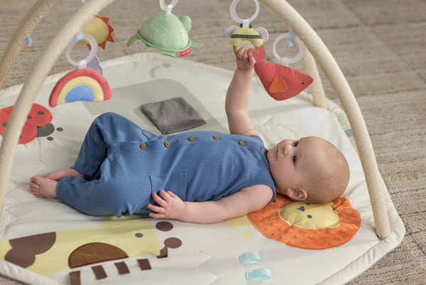 Skip Hop Geometric Wonders Baby Activity Gym – Multicolour