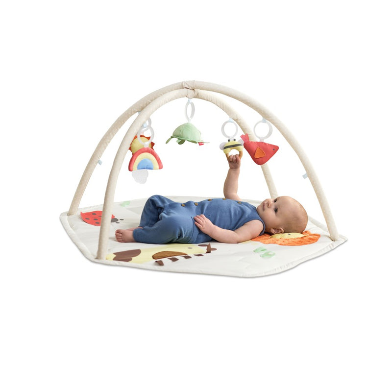 Skip Hop Geometric Wonders Baby Activity Gym β Multicolour