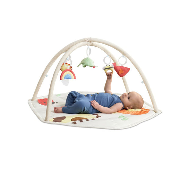 Skip Hop Geometric Wonders Baby Activity Gym – Multicolour