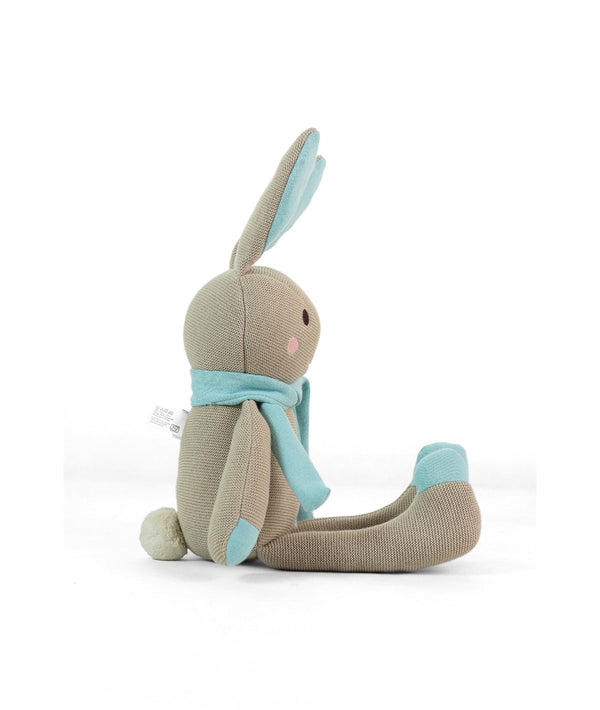 PluchiBerry Bunny Cotton Knitted Stuffed Soft Toy (Pale Whisper & Baby Blue)