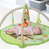 Skip Hop Treetop Friends Baby Activity Gym