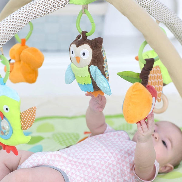 Skip Hop Treetop Friends Baby Activity Gym