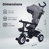 R For Rabbit Tiny Toes T40 Ace Tricycle - Grey Black