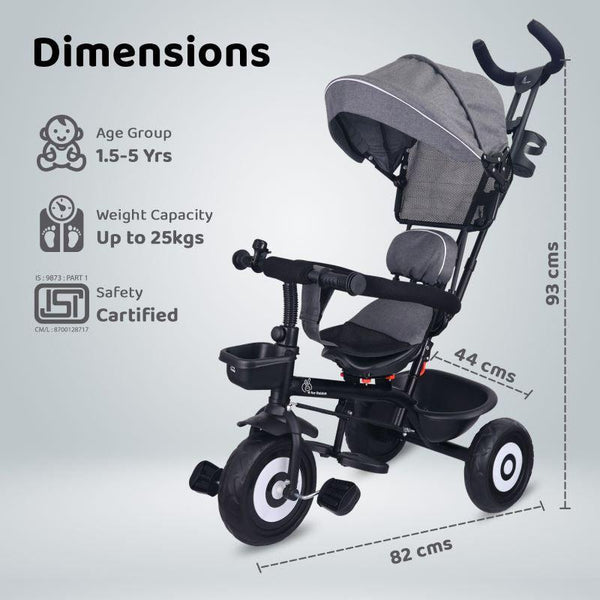 R For Rabbit Tiny Toes T40 Ace Tricycle - Grey Black