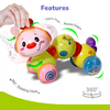 R For Rabbit Orapple Wiggle Colorful Musical Push Toy