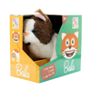 Fuzzbuzz Cat Pets Bella