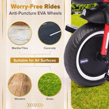 Chicco 4-in-1 Evolution Trike One Size Red