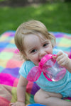 Dr Browns 6 Oz/180 Ml Soft Spout Transition Cup With Handle Pink