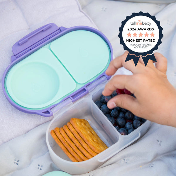 b.box Leakproof Snack Box with Flexi Fruit Holder β Emerald Forest Green