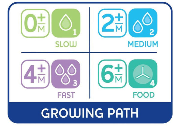 Chicco Tettarella Physio Teat Fast 2 Pcs 4M+