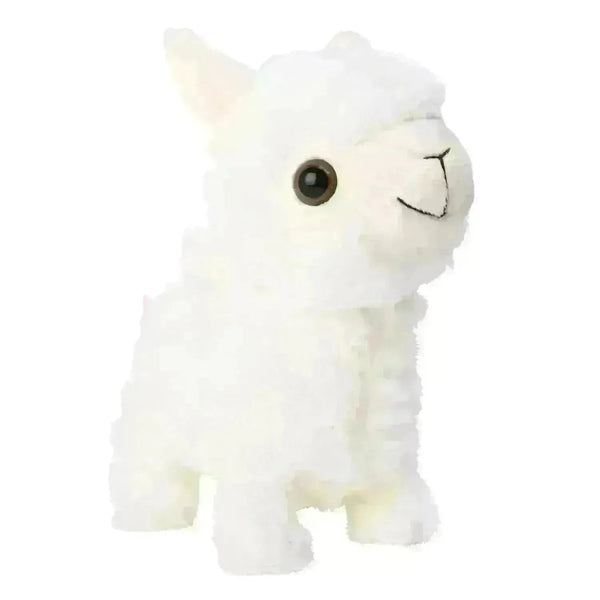 Fuzzbuzz Pugs At Play Paris The Llama