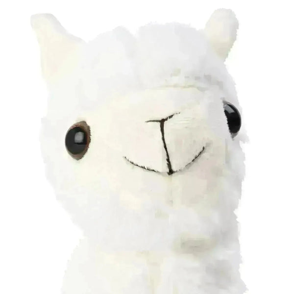 Fuzzbuzz Pugs At Play Paris The Llama