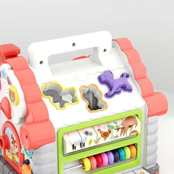 Hola Activity House Shape Sorter