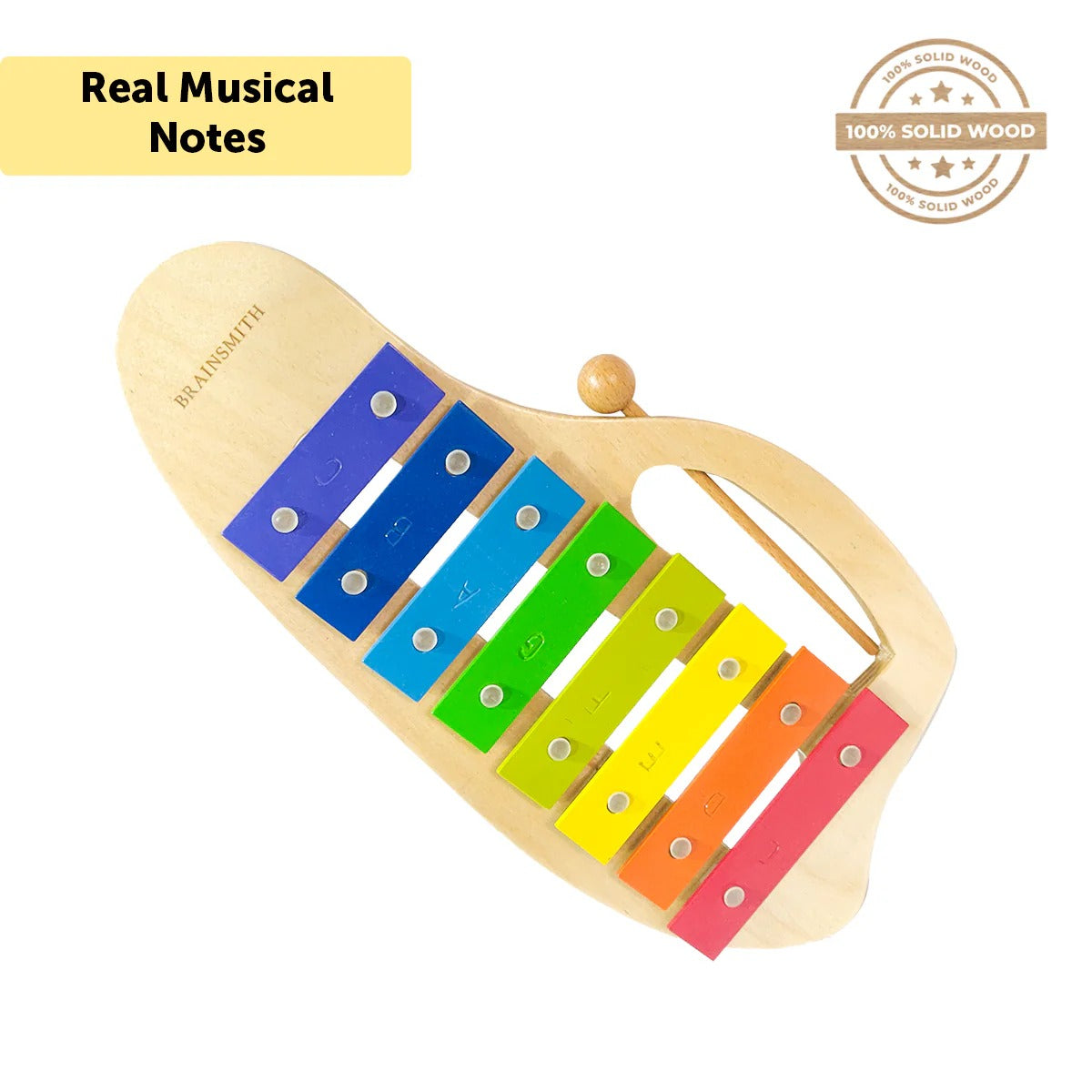 Brainsmith Wooden Xylophone 13.6 × 7 × 0.7 Inches Multicolor