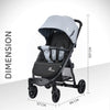 R For Rabbit Stroller Falcon Flight Grey Black