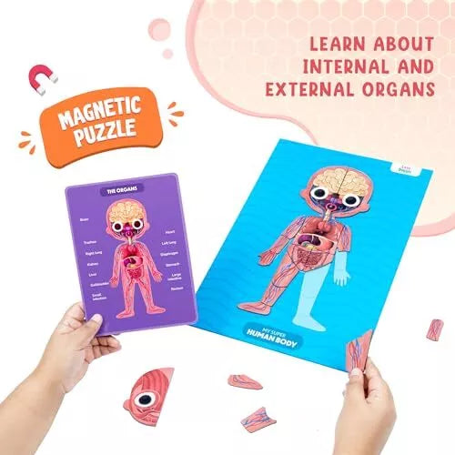 LoveDabble: My Super Human Body