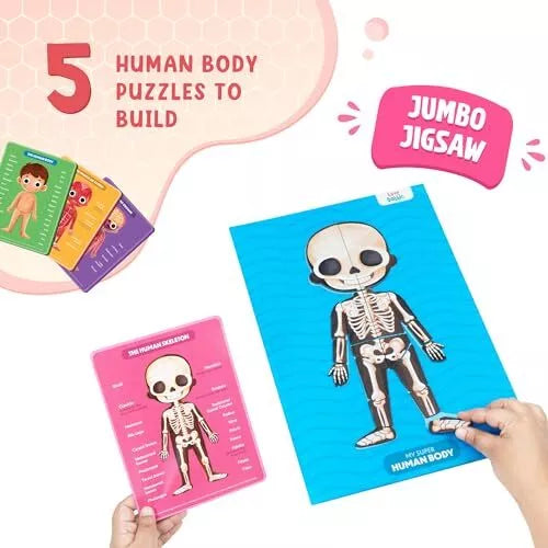 LoveDabble: My Super Human Body