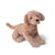Mi Arcus Truffle Dog Soft Toy
